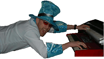 Toetsenist - Sjoerd Ermers